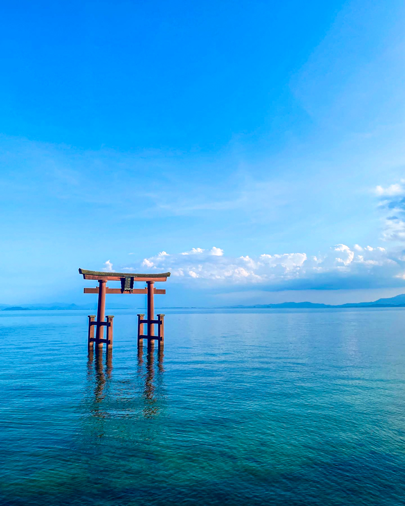 白鬚神社、湖中大鳥居、７月夏、滋賀県高島市の観光・撮影スポットの名所
